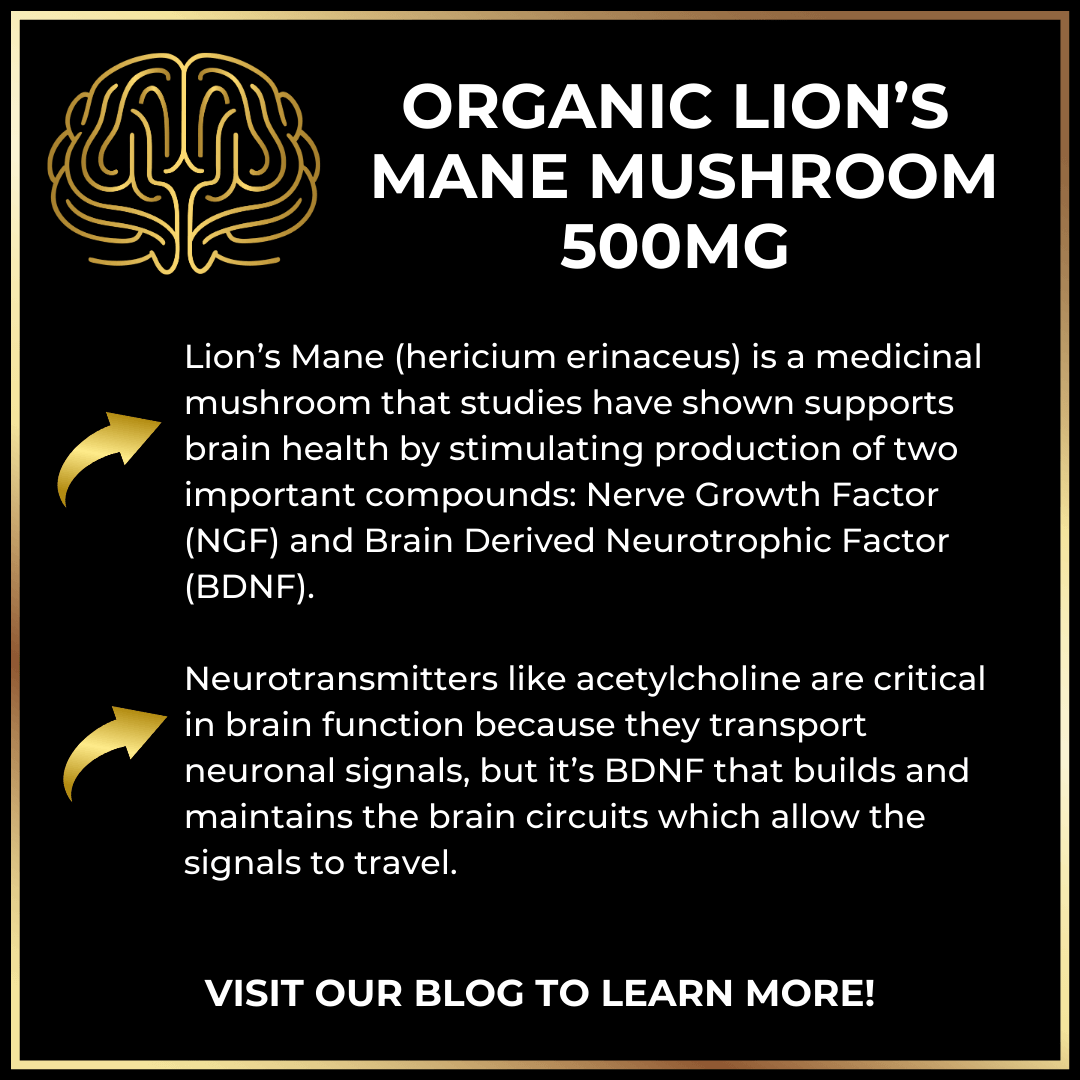 Keto Brainz Nootropic Creamer + Mini Hand Blender