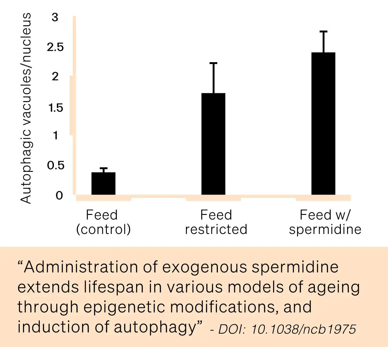 Verso Clean Being Spermidine