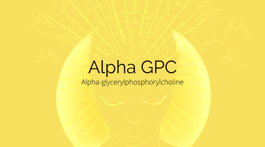 Alpha GPC Is A Nootropic Superstar!