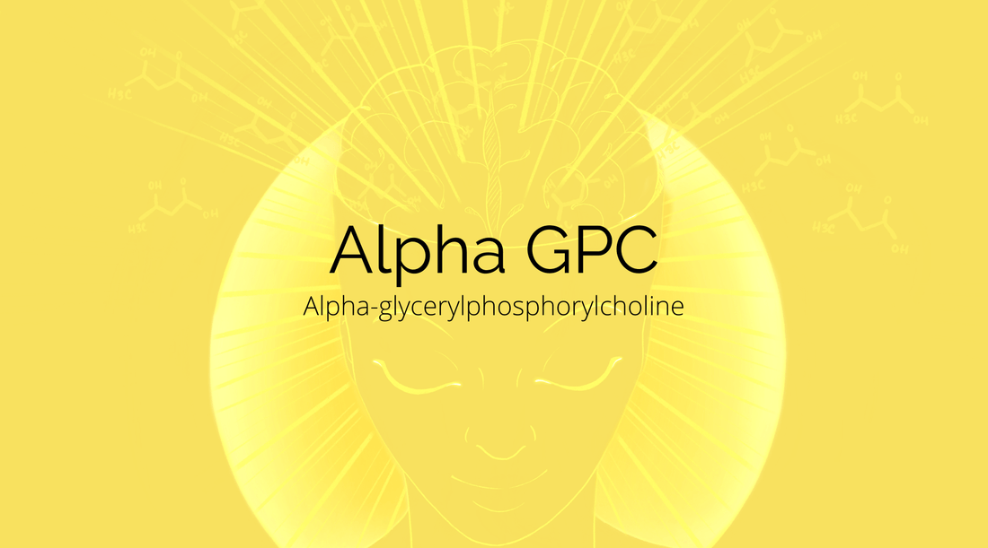 What is Alpha GPC?