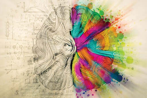 Leveraging Neuroplasticity - The Keto Brainz Nootropics Blog