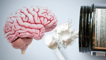 Brain-Boosting Potential of Creatine