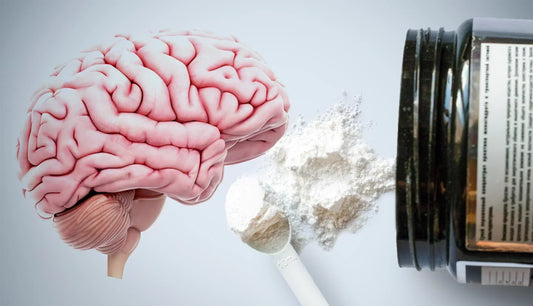 Brain-Boosting Potential of Creatine