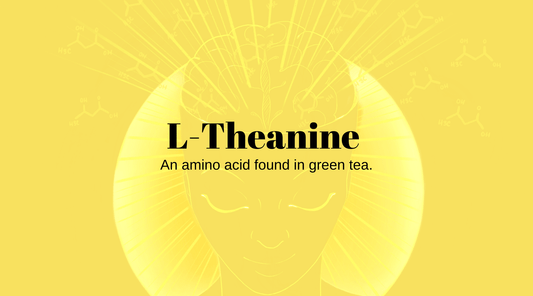 L-Theanine is a lovely little molecule with whom we fell in love upon first ingestion.