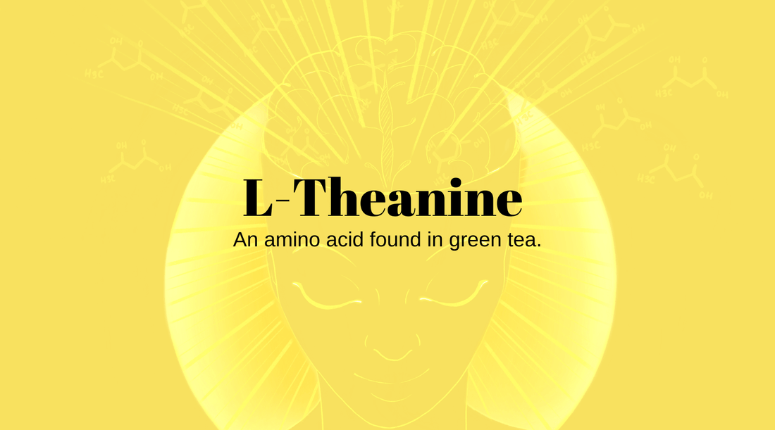 Is Theanine a Nootropic?