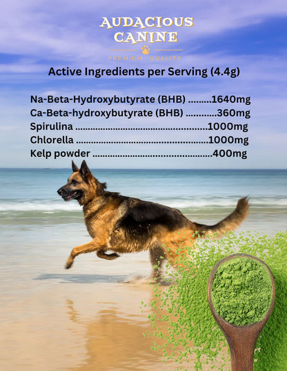 Audacious Canine - BHB Supplement For Dogs