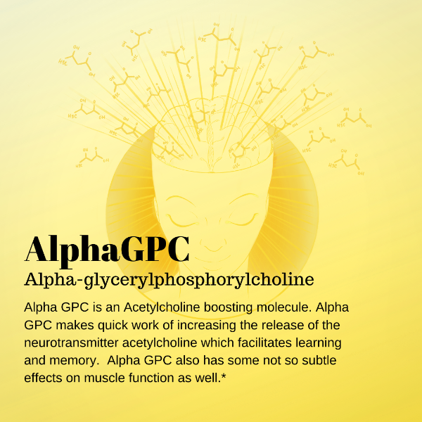 Text description of Alpha GPC's effects on cognition and memory