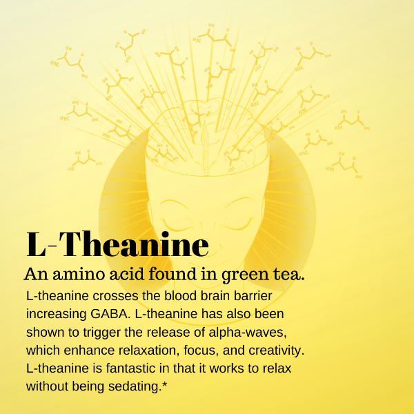 Text description of the effects of L-Theanine