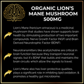Keto Brainz Nootropic Creamer **PRE-ORDER**