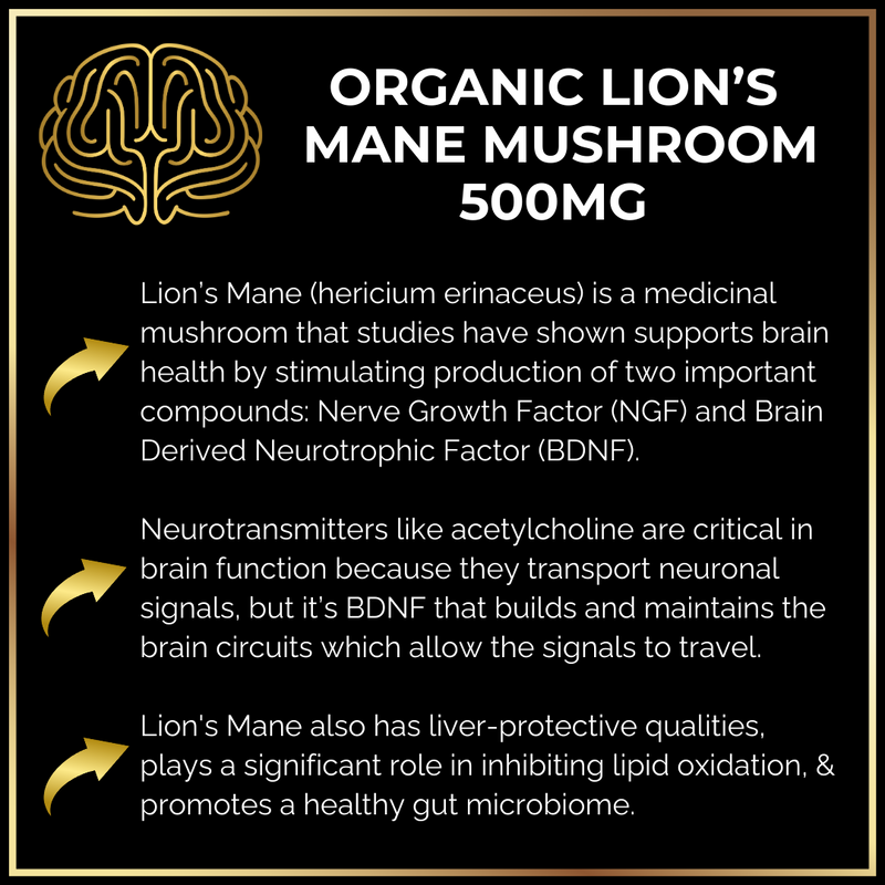 Keto Brainz Nootropic Creamer **PRE-ORDER**